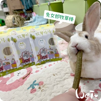 兔女郎點心吧 甜燕麥牧草棒棒6