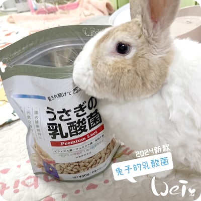 WOOLY 兔子的乳酸菌9