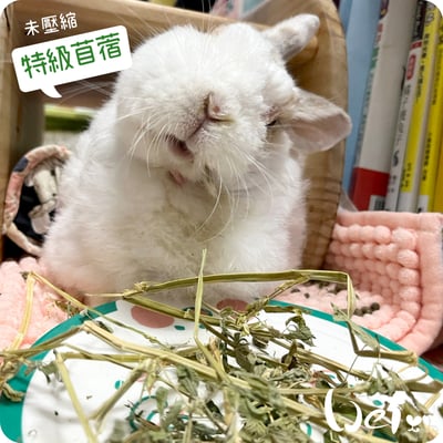 摩米MOMI 農夫皇牌特選苜蓿草7