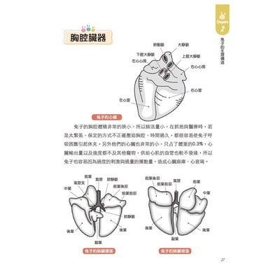 《書》健康養兔子【全新修訂版】：朱哲助院長的疾病預防與照護大公開10