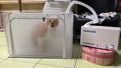 【新北板橋-租借】寵物用氧氣箱/吸氧箱/噴霧箱/霧化箱 (販售、租賃)17