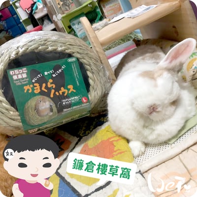 日本KAWAI 提摩西 兔子鎌倉樓 草編兔窩5