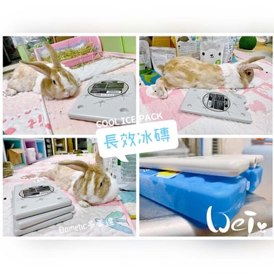 Dometic薄款長效冰磚CI-420G+手作吸濕透氣冰磚網袋11