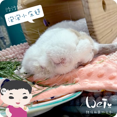 手作 - 泡泡小床毯 (沙沙響紙)23