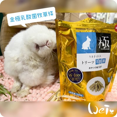 日本 HI-PET 金極乳酸菌牧草條 (KIWAMI極)6