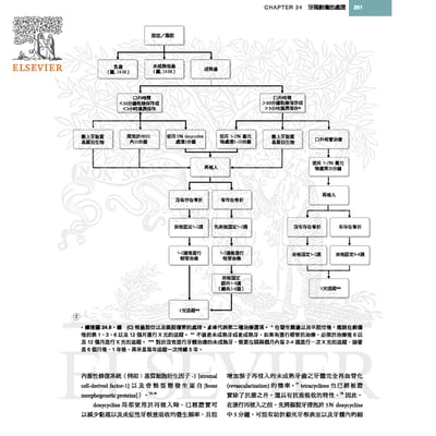 《書》犬貓口腔與上頜顏面外科，第二版5