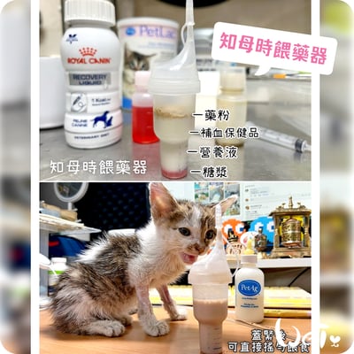 知母時餵藥器(擠壓式) /奶貓 / 兔子天竺鼠等寵物灌食泥狀食物(台灣製)8