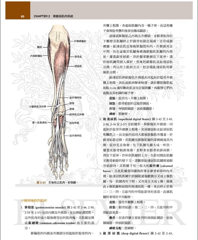 《書》犬解剖指引第八版7
