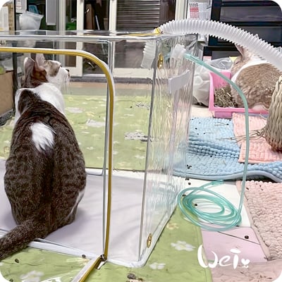 110L折疊全透明寵物氧氣箱-吸氧箱/噴霧箱/霧化箱10