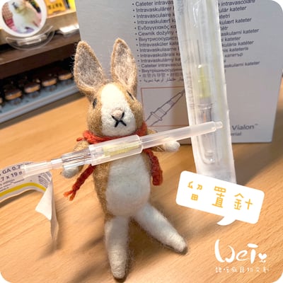 (寵物傷口沖洗用) BD-靜脈留置針 / 軟針 24G 黃色 (純介紹，網路不可販售)9