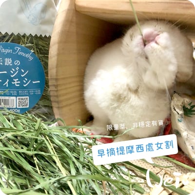 WOOLY高原的早摘提摩西 處女割10