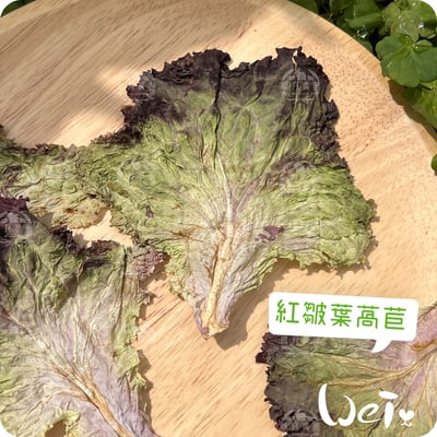 順月農園 紅皺葉萵苣/紅生菜(乾燥脆脆菜)2