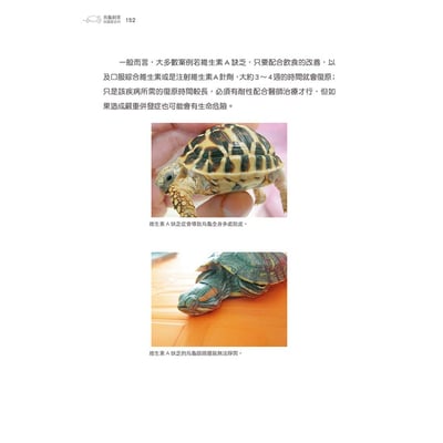 《書》烏龜飼育與圖鑑百科10