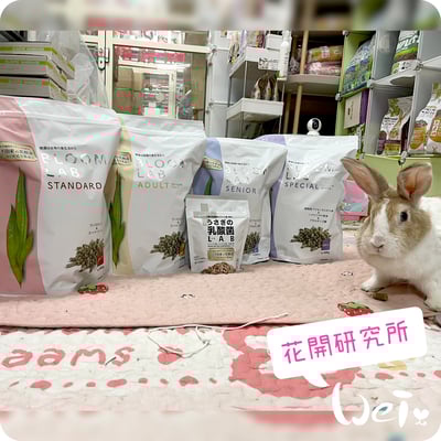 WOOLY花開研究所 8歲以上特殊老兔飼料5
