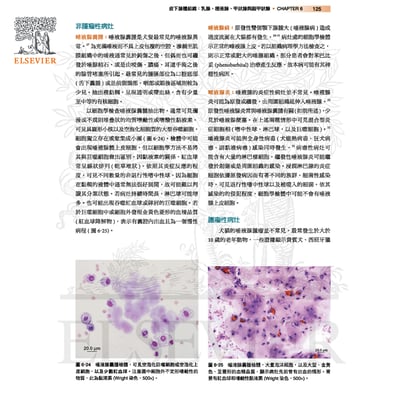 《書》Cowell and Tyler’s犬貓診斷細胞學與血液學(4版)3