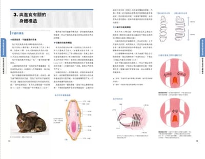 《書》兔兔喜歡吃什麼？兔子的飲食與營養百科  新版 よくわかるウサギの食事と栄養3