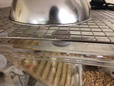 【新北租借】寵物陶瓷保溫燈+微電腦控溫器組合 說明 (老兔病兔、天竺鼠、幼犬幼貓刺蝟倉鼠)8