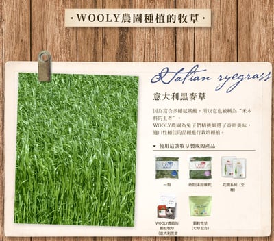 WOOLY高原的義大利黑麥草一割 (本次貨櫃未到)3