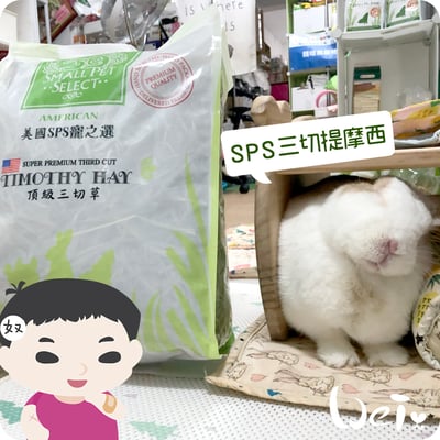 美國SPS寵之選 三切提摩西1