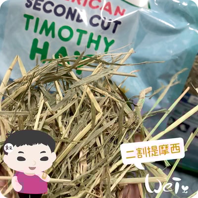 摩米MOMI T2 二割經典提摩西2