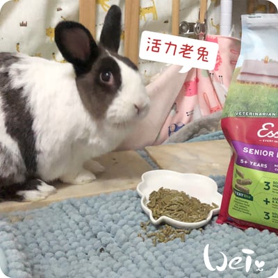 OXBOW活力老年兔維持肌力餐1