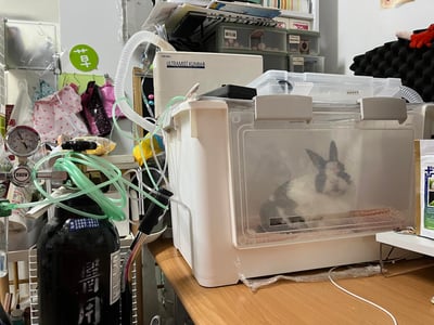 京華KUN-868超音波噴霧機(霧化機) (純介紹，網路不可販售)10