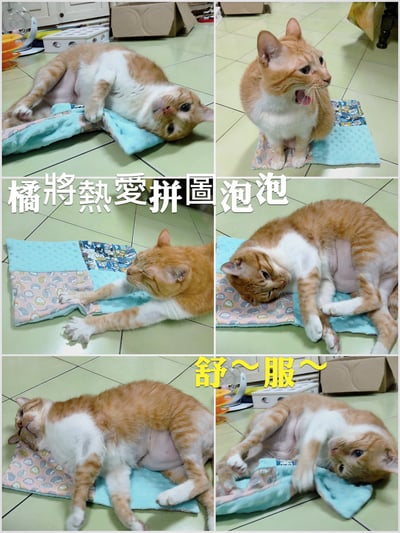 手作 - 拼圖泡泡毯11