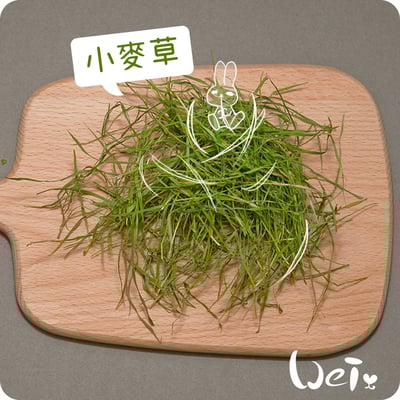 乾燥小麥草3