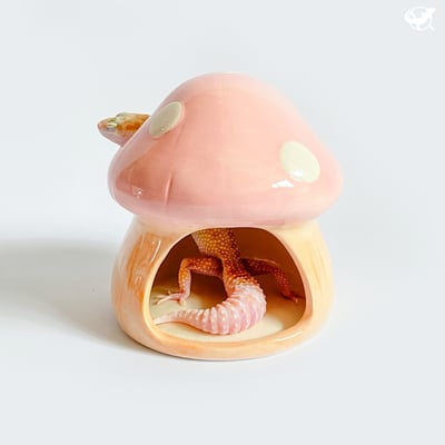 爬蟲蘑菇躲避屋＋水盆2