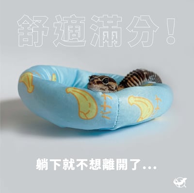 爬蟲圓形窩墊5