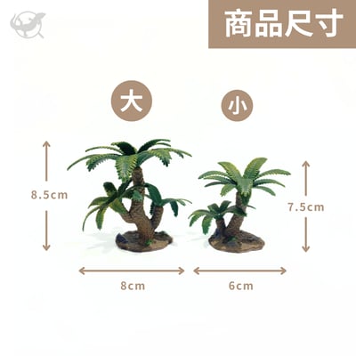 爬蟲蘇鐵樹擺設4