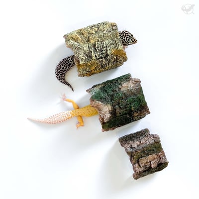 爬蟲仿木躲避屋1