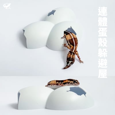 爬蟲連體蛋殼躲避屋1
