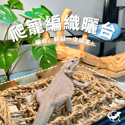 爬寵編織曬台1