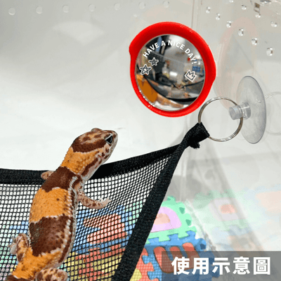 迷你廣角鏡擺設7