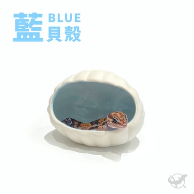 爬蟲貝殼躲避屋3