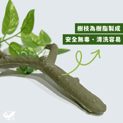 爬蟲仿真樹枝造景8