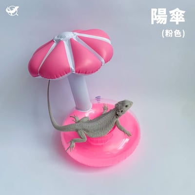 爬蟲造型泳圈12