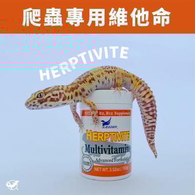 Leader 爬蟲專用維他命