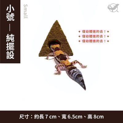 守宮金字塔躲避屋 / 擺設2