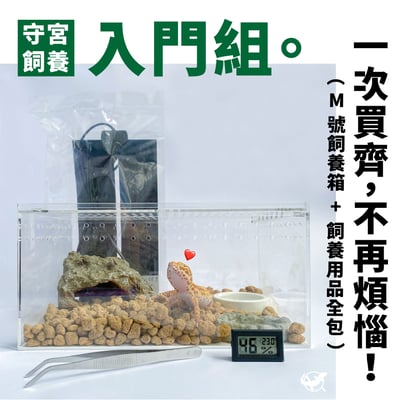 守宮飼養入門組1