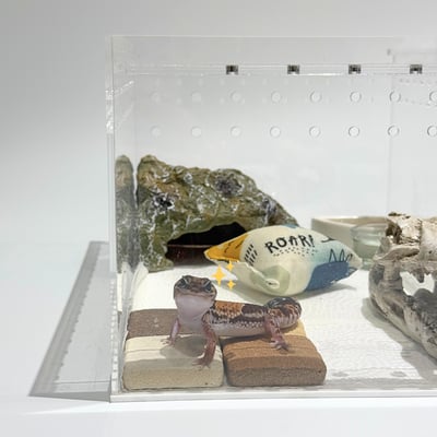 日本小石塊（守宮脫皮、磨甲必備）4