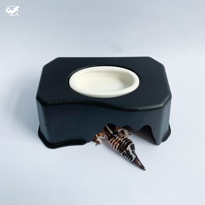 黑白加濕躲避屋4