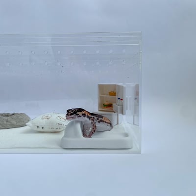 爬蟲馬桶／便盆3