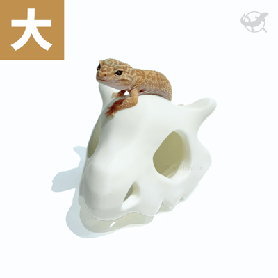 卡拉卡拉造型擺設10