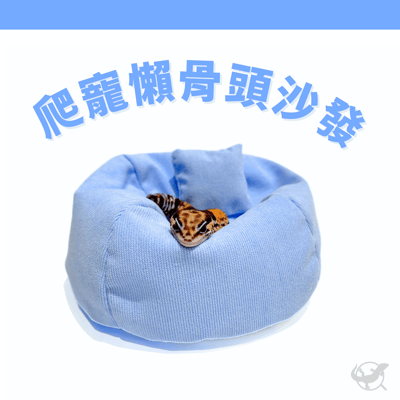 爬寵懶骨頭沙發1