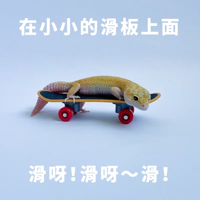 爬蟲迷你滑板5