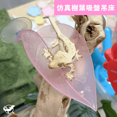 樹棲仿真樹葉吸盤吊床1