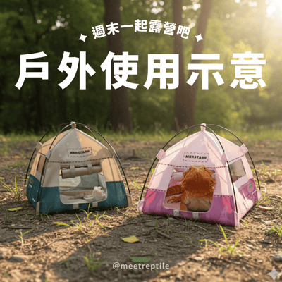 爬寵帳篷躲避屋5