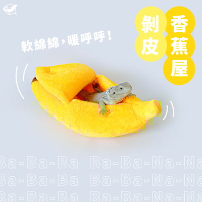 爬蟲剝皮香蕉窩4